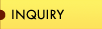 Business Inquiry